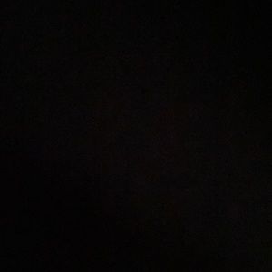 Meet your Posher, Dennis